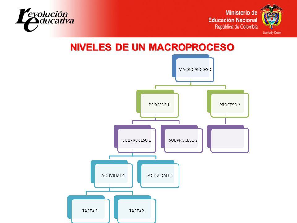 NIVELES DE UN MACROPROCESO