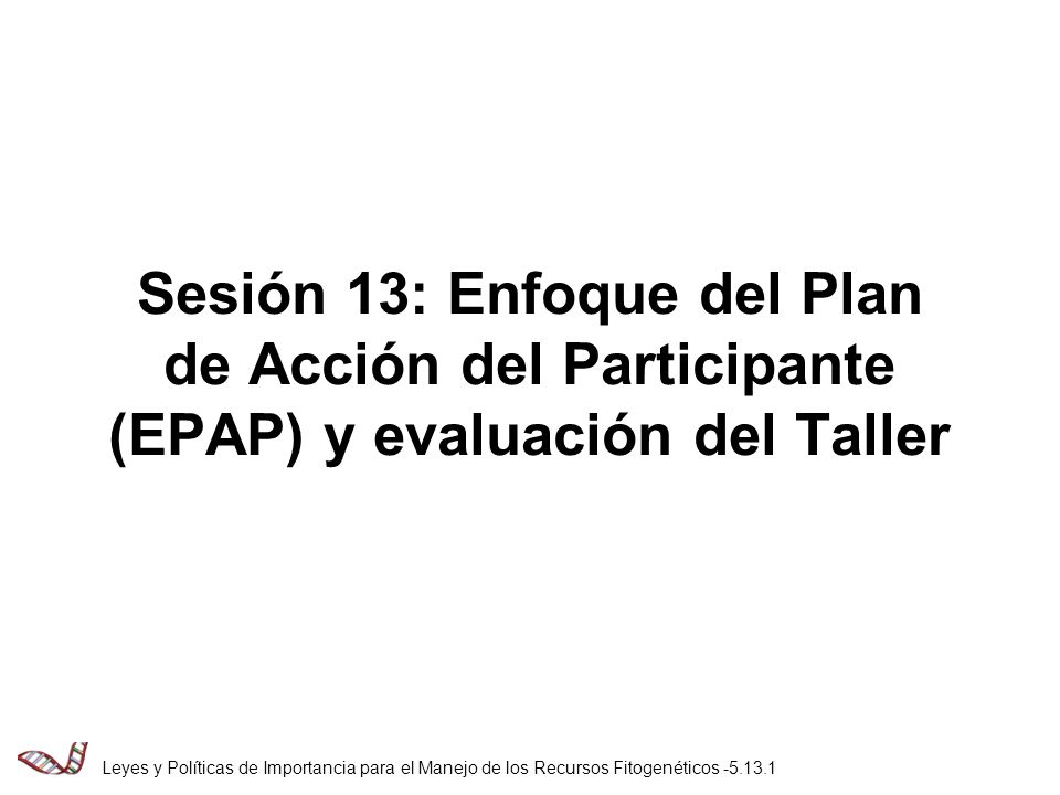 Sesión 13: Enfoque del Plan de Acción del Participante (EPAP) y evaluación del Taller
