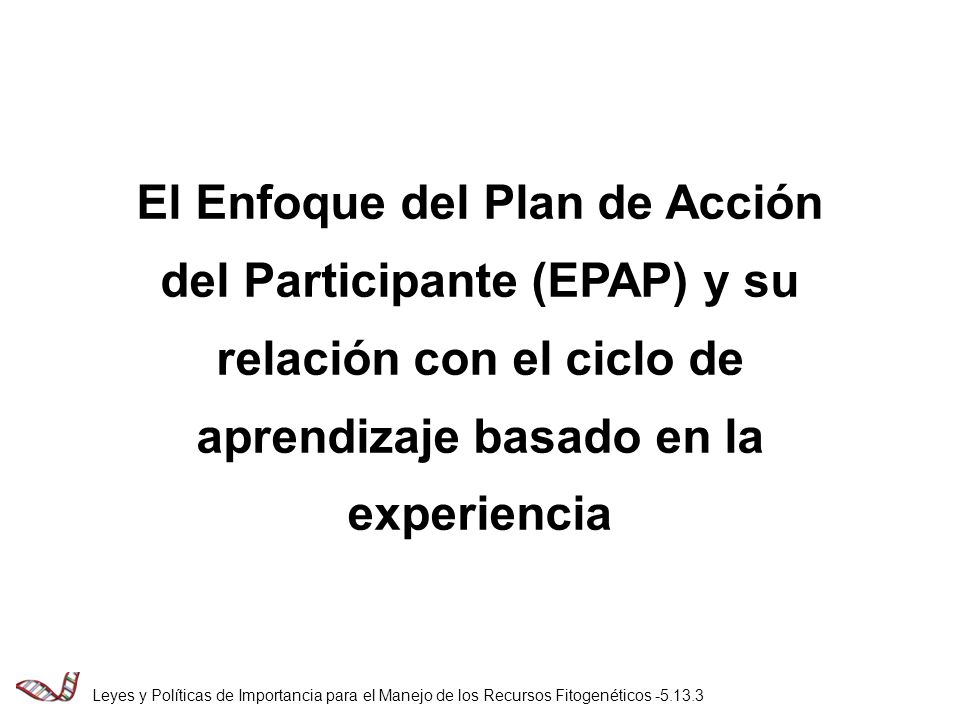 El Enfoque del Plan de Acción del Participante (EPAP) y su relación con el ciclo de aprendizaje basado en la experiencia
