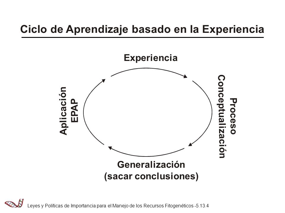 Ciclo de Aprendizaje basado en la Experiencia
