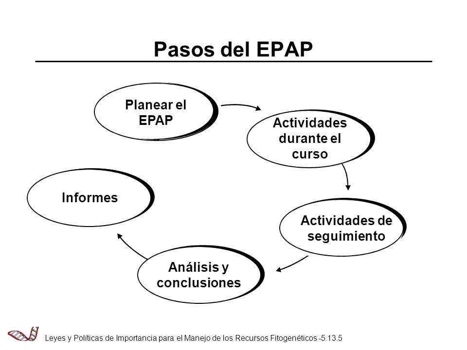 Pasos del EPAP Planear el EPAP Actividades durante el curso Informes
