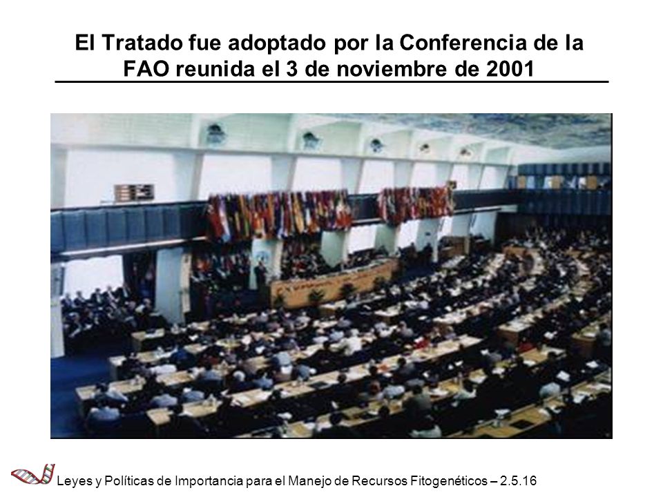 El Tratado fue adoptado por la Conferencia de la FAO reunida el 3 de noviembre de 2001
