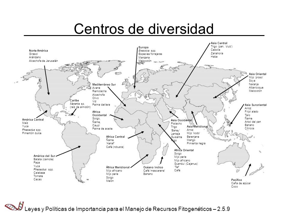 Centros de diversidad Norte América. Girasol. Arándano. Alcachofa de Jerusalén. América Central.