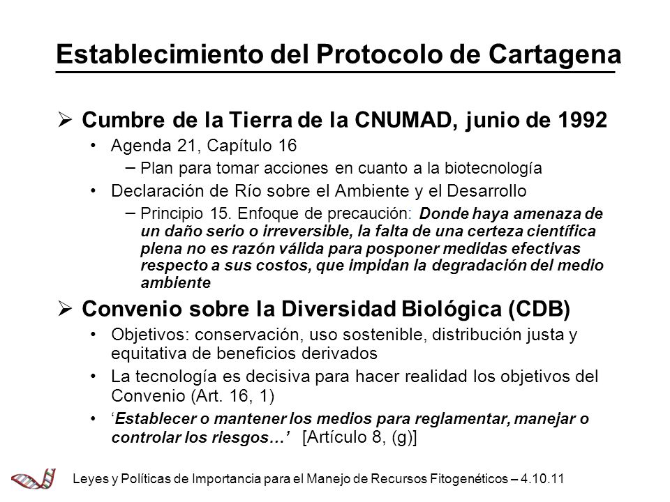 Establecimiento del Protocolo de Cartagena