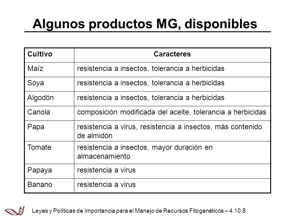 Algunos productos MG, disponibles