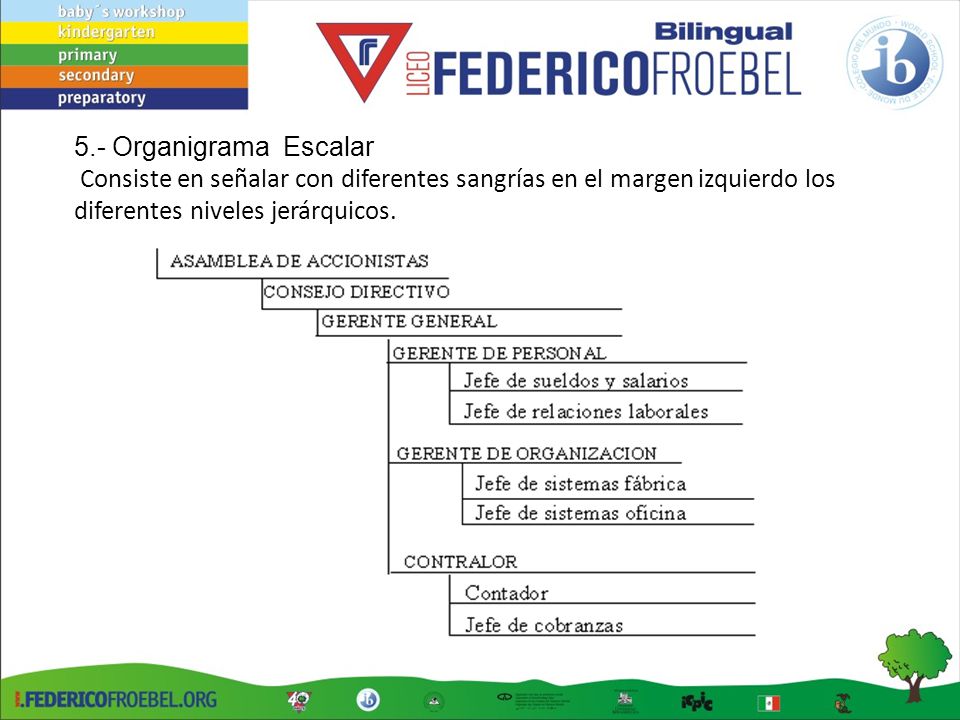 5.- Organigrama Escalar Consiste en señalar con diferentes sangrías en el margen izquierdo los diferentes niveles jerárquicos.