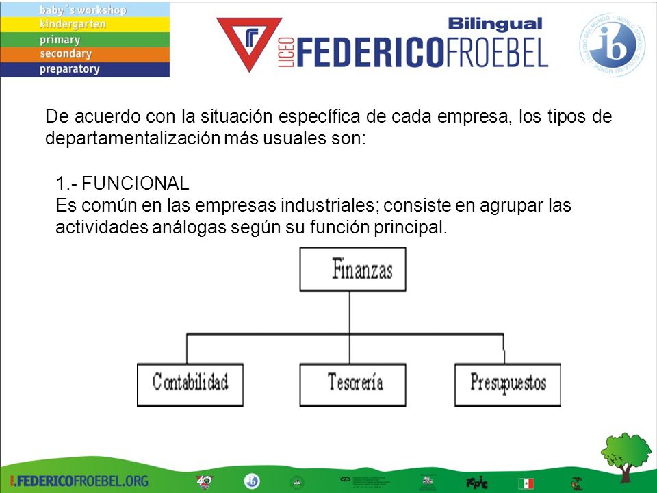 De acuerdo con la situación específica de cada empresa, los tipos de departamentalización más usuales son: