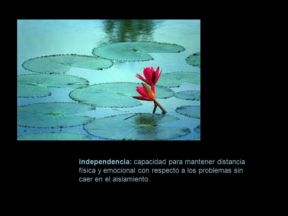 independencia: capacidad para mantener distancia física y emocional con respecto a los problemas sin caer en el aislamiento.