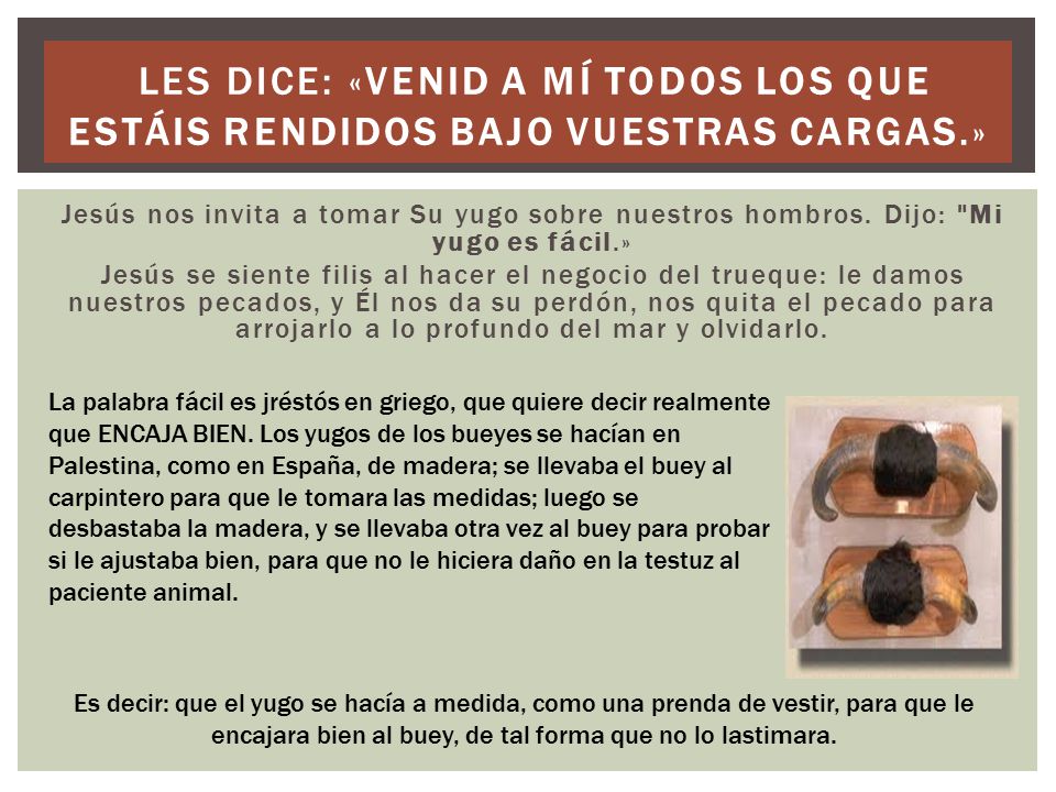 Les dice: «Venid a Mí todos los que estáis rendidos bajo vuestras cargas.»
