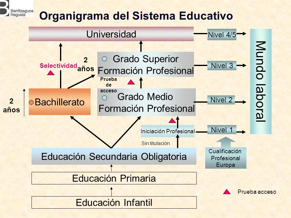 Organigrama del Sistema Educativo