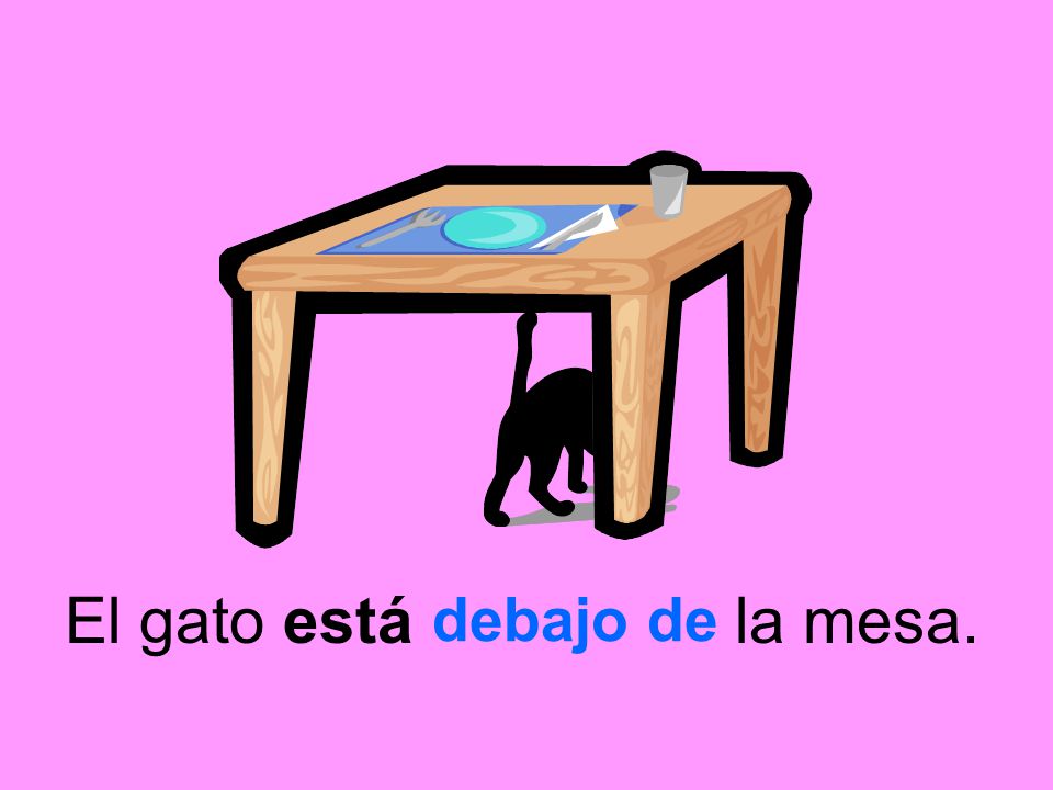 El gato está la mesa. debajo de