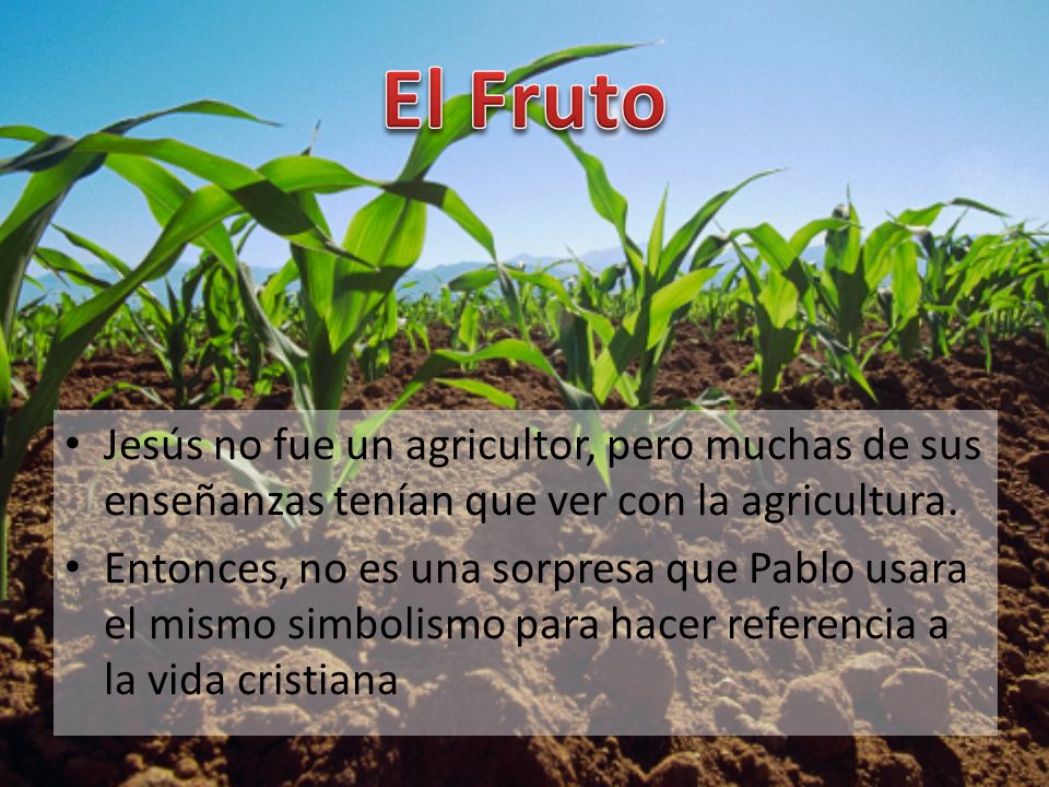 El Fruto Jesús no fue un agricultor, pero muchas de sus enseñanzas tenían que ver con la agricultura.