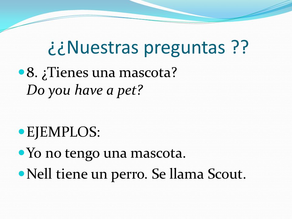 ¿¿Nuestras preguntas 8. ¿Tienes una mascota Do you have a pet