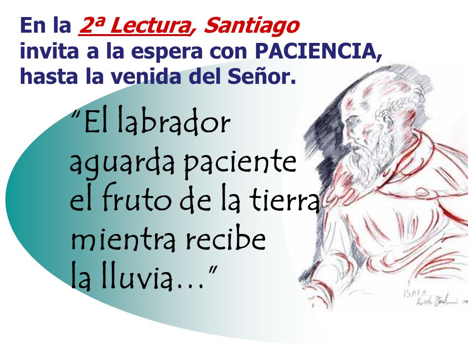 En la 2ª Lectura, Santiago invita a la espera con PACIENCIA, hasta la venida del Señor.