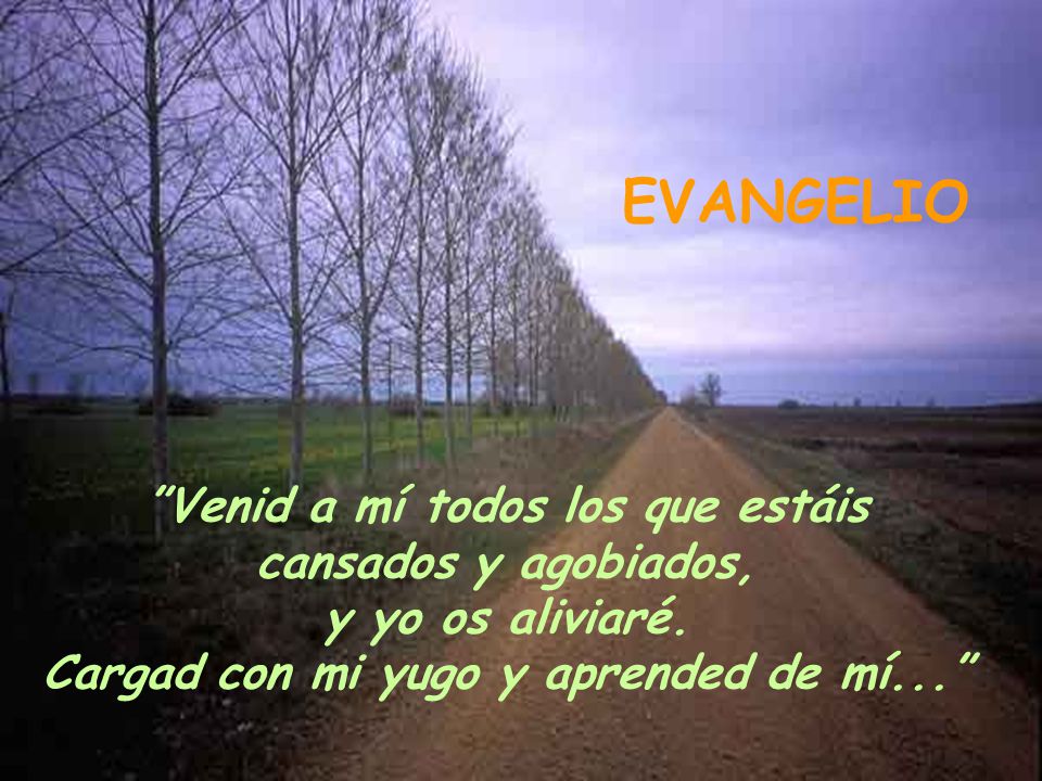EVANGELIO Venid a mí todos los que estáis cansados y agobiados,