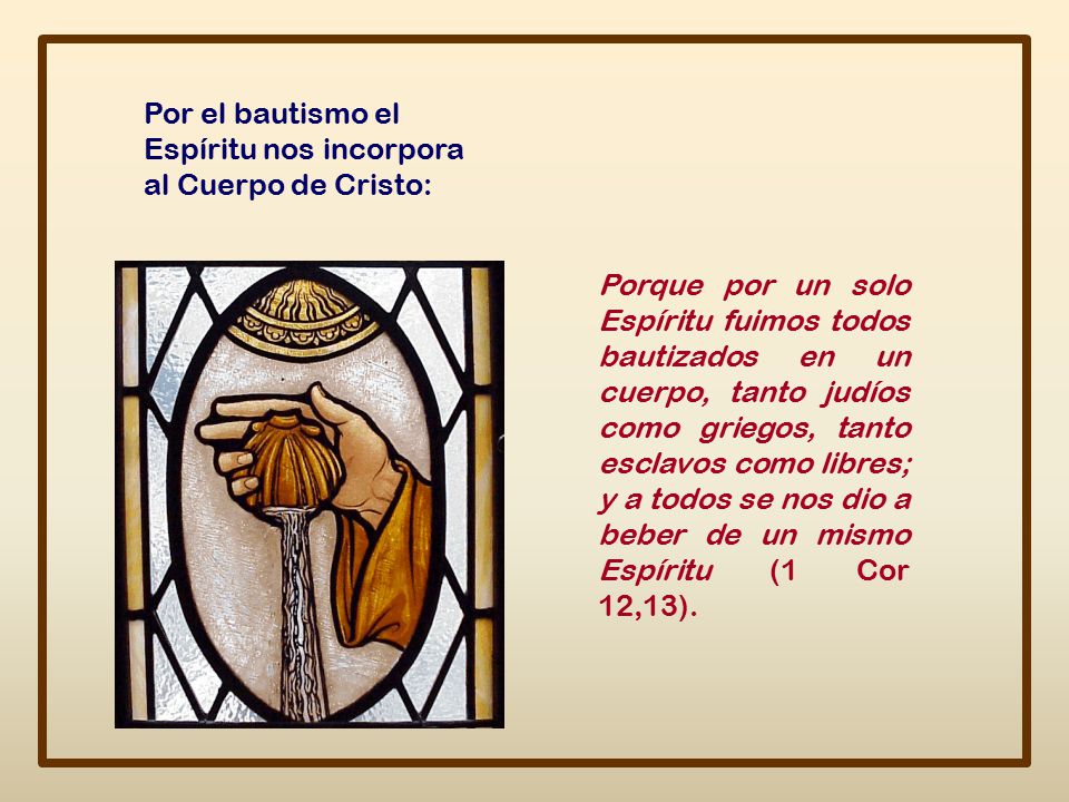 Por el bautismo el Espíritu nos incorpora al Cuerpo de Cristo: