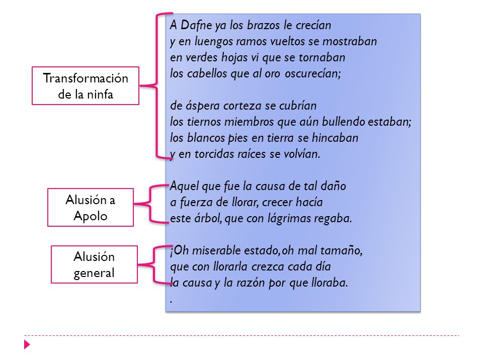 Transformación de la ninfa