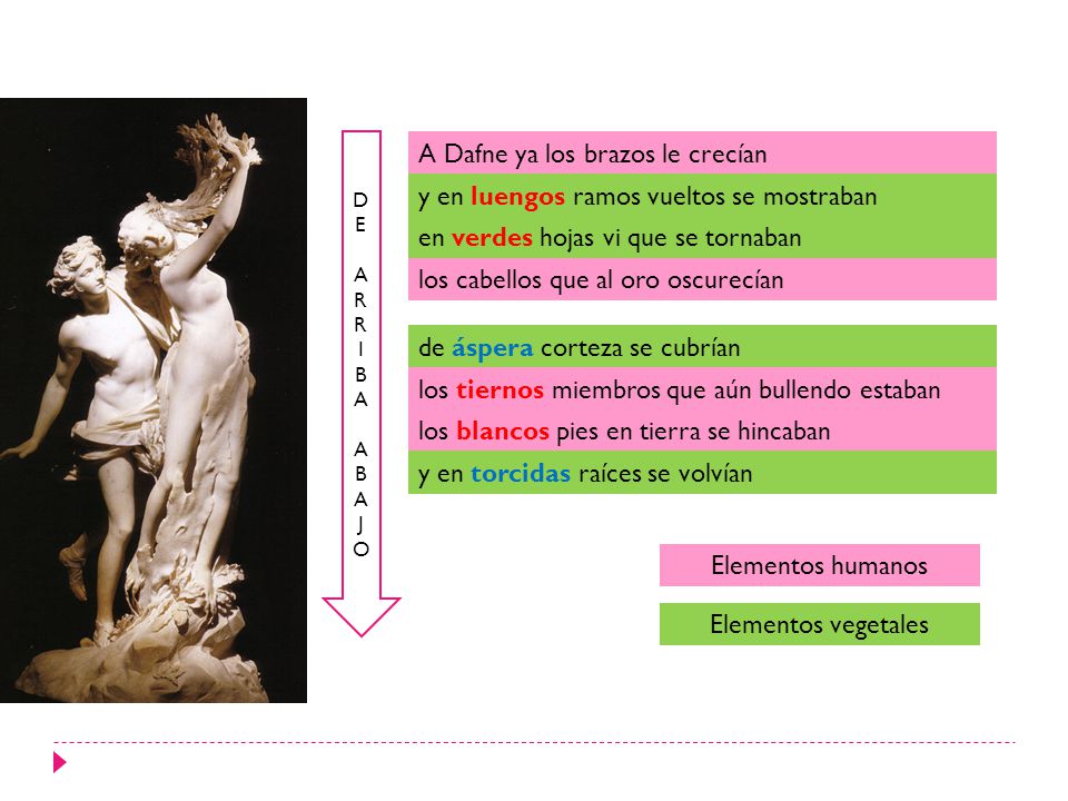 A Dafne ya los brazos le crecían A Dafne ya los brazos le crecían