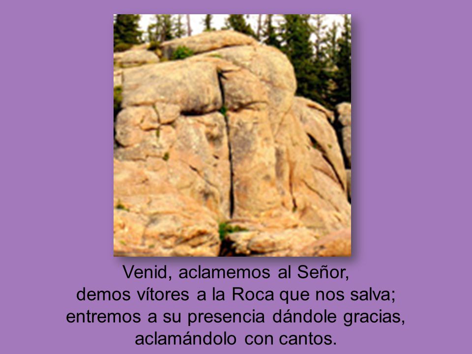 Venid, aclamemos al Señor, demos vítores a la Roca que nos salva; entremos a su presencia dándole gracias, aclamándolo con cantos.