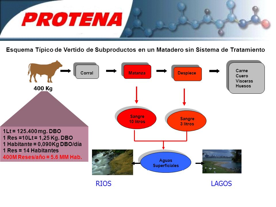 RIOS LAGOS 400 Kg 1Lt = mg. DBO 1 Res =10Lt = 1,25 Kg. DBO