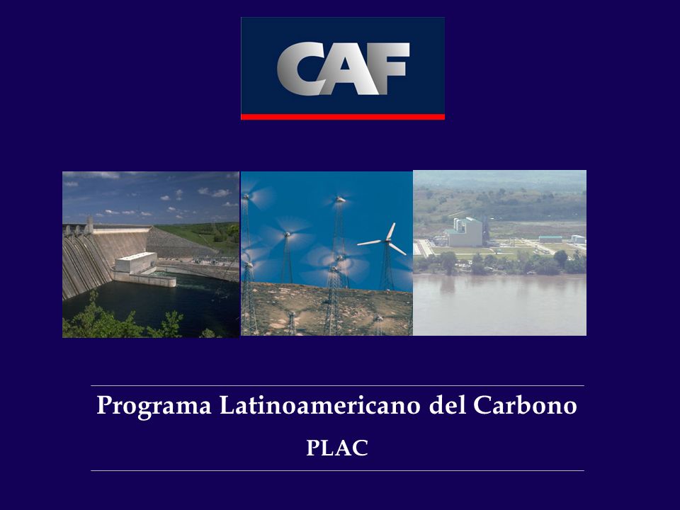 Programa Latinoamericano del Carbono