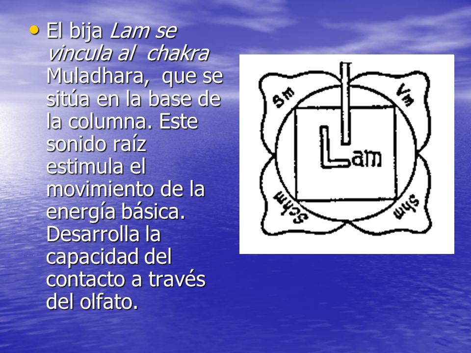 El bija Lam se vincula al chakra Muladhara, que se sitúa en la base de la columna.