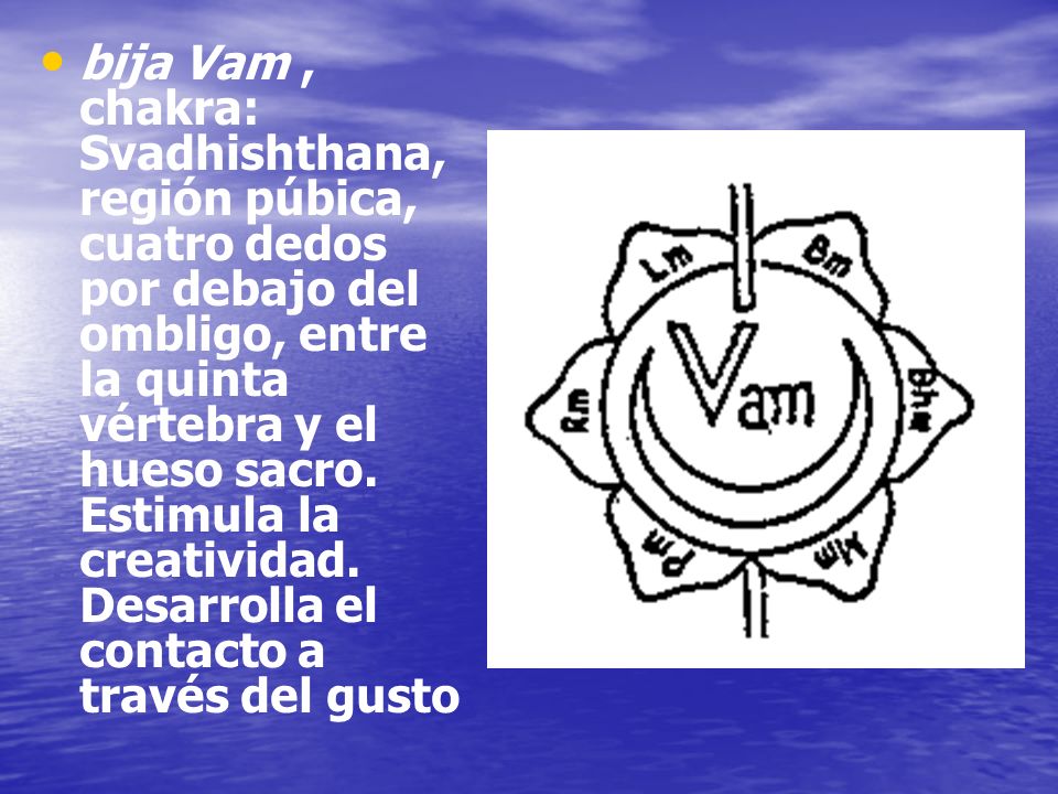 bija Vam , chakra: Svadhishthana, región púbica, cuatro dedos por debajo del ombligo, entre la quinta vértebra y el hueso sacro.