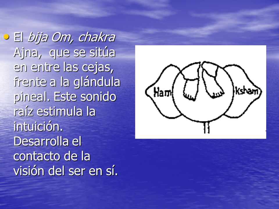 El bija Om, chakra Ajna, que se sitúa en entre las cejas, frente a la glándula pineal.