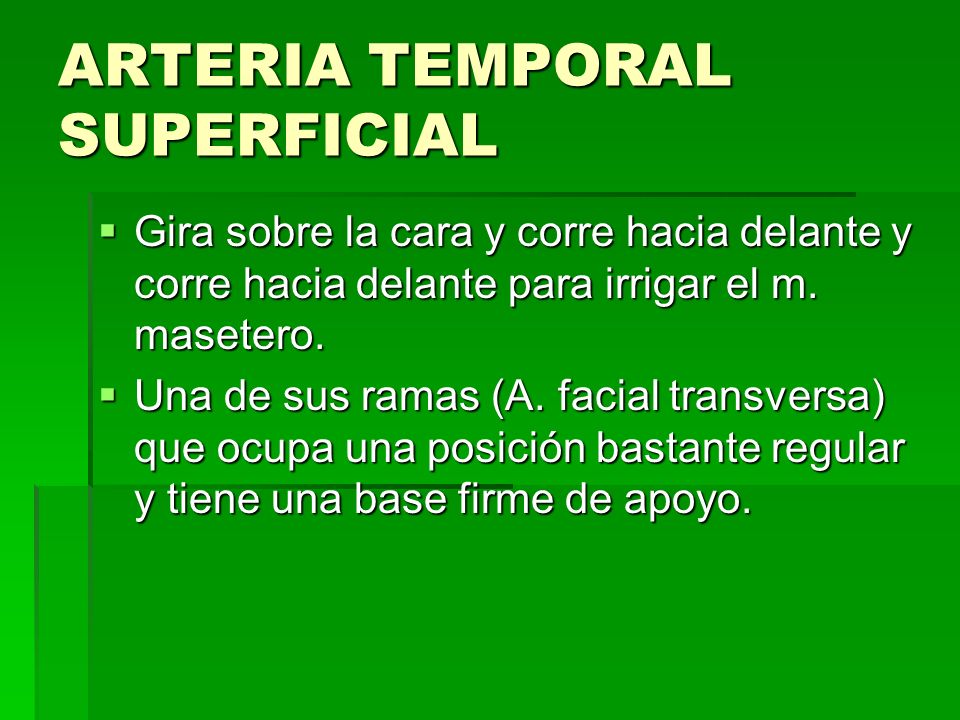 ARTERIA TEMPORAL SUPERFICIAL