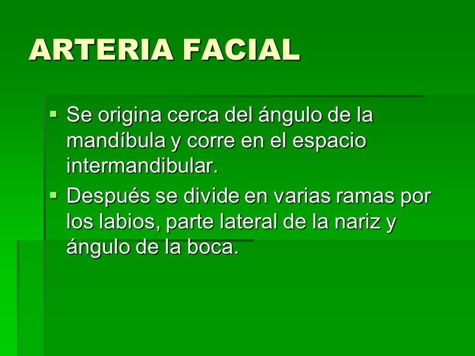 ARTERIA FACIAL Se origina cerca del ángulo de la mandíbula y corre en el espacio intermandibular.