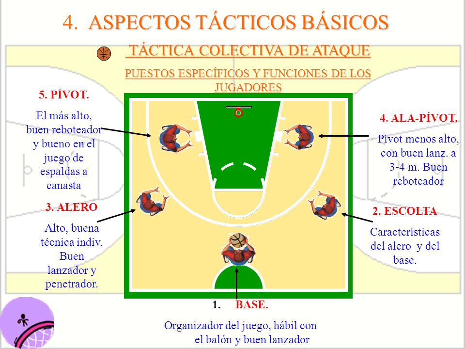 : EL BALONCESTO INTRODUCCIÓN / HISTORIA - ppt descargar