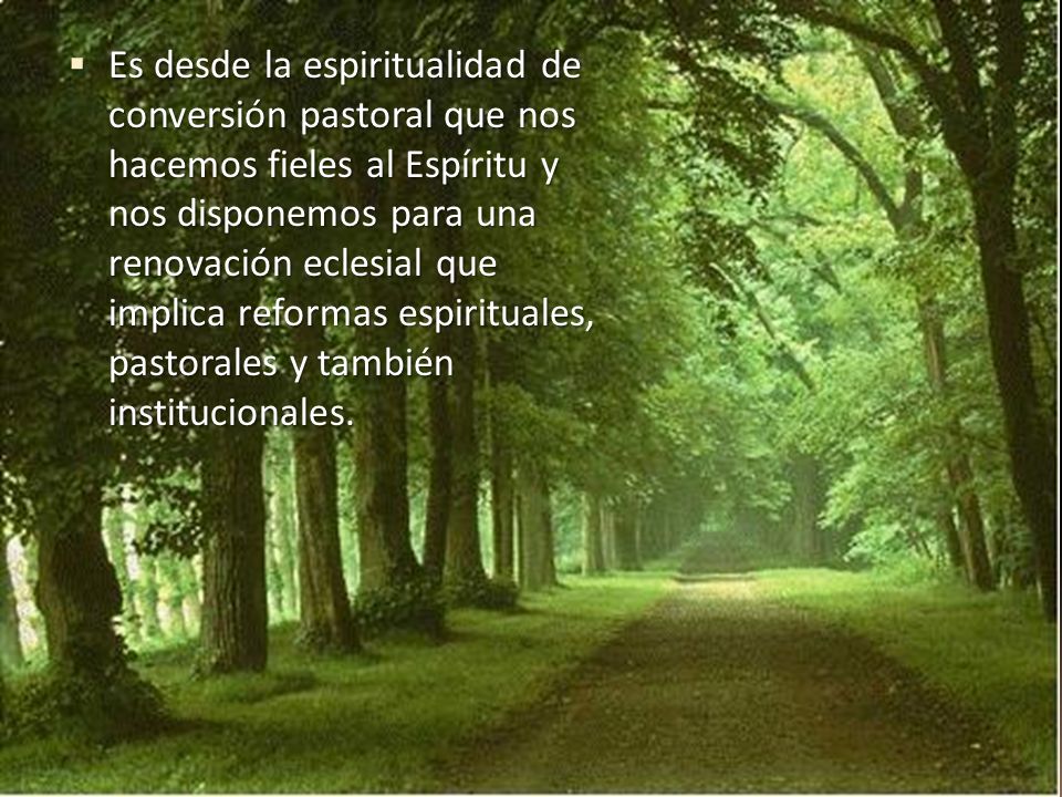 Es desde la espiritualidad de conversión pastoral que nos hacemos fieles al Espíritu y nos disponemos para una renovación eclesial que implica reformas espirituales, pastorales y también institucionales.