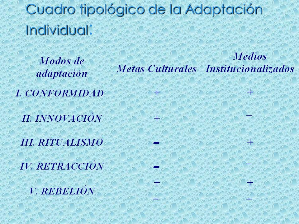 Cuadro tipológico de la Adaptación Individual: