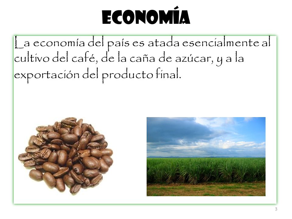 Economía La economía del país es atada esencialmente al cultivo del café, de la caña de azúcar, y a la exportación del producto final.