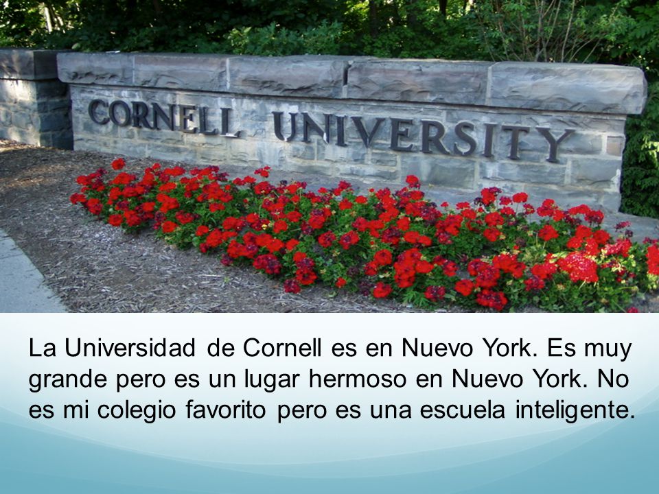 La Universidad de Cornell es en Nuevo York