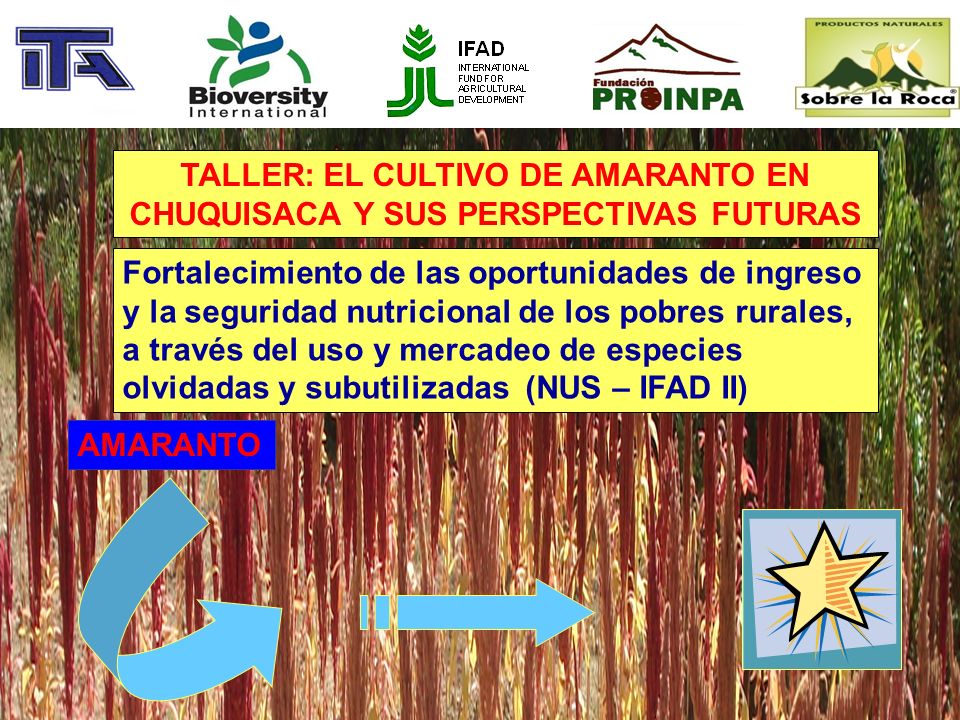 TALLER: EL CULTIVO DE AMARANTO EN CHUQUISACA Y SUS PERSPECTIVAS FUTURAS