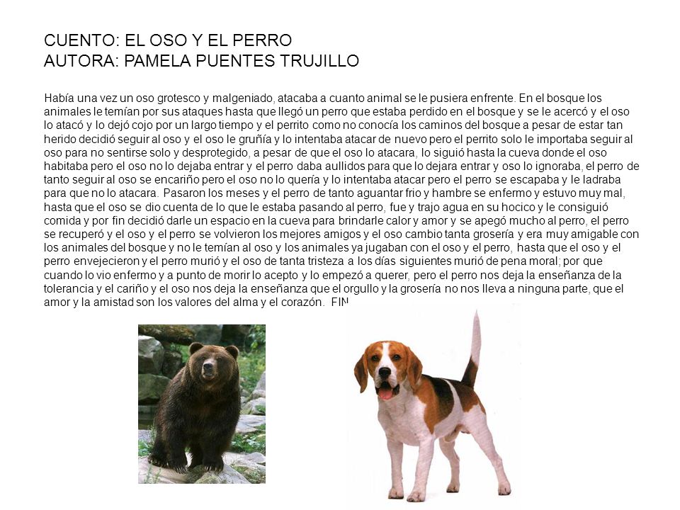 CUENTO: EL OSO Y EL PERRO AUTORA: PAMELA PUENTES TRUJILLO