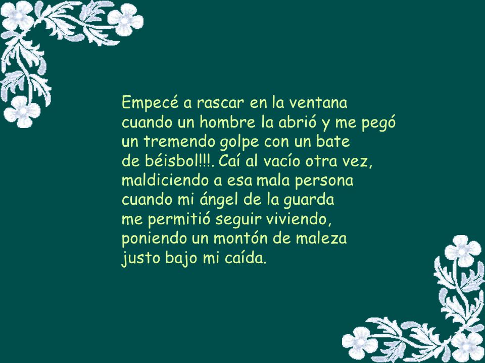 Empecé a rascar en la ventana