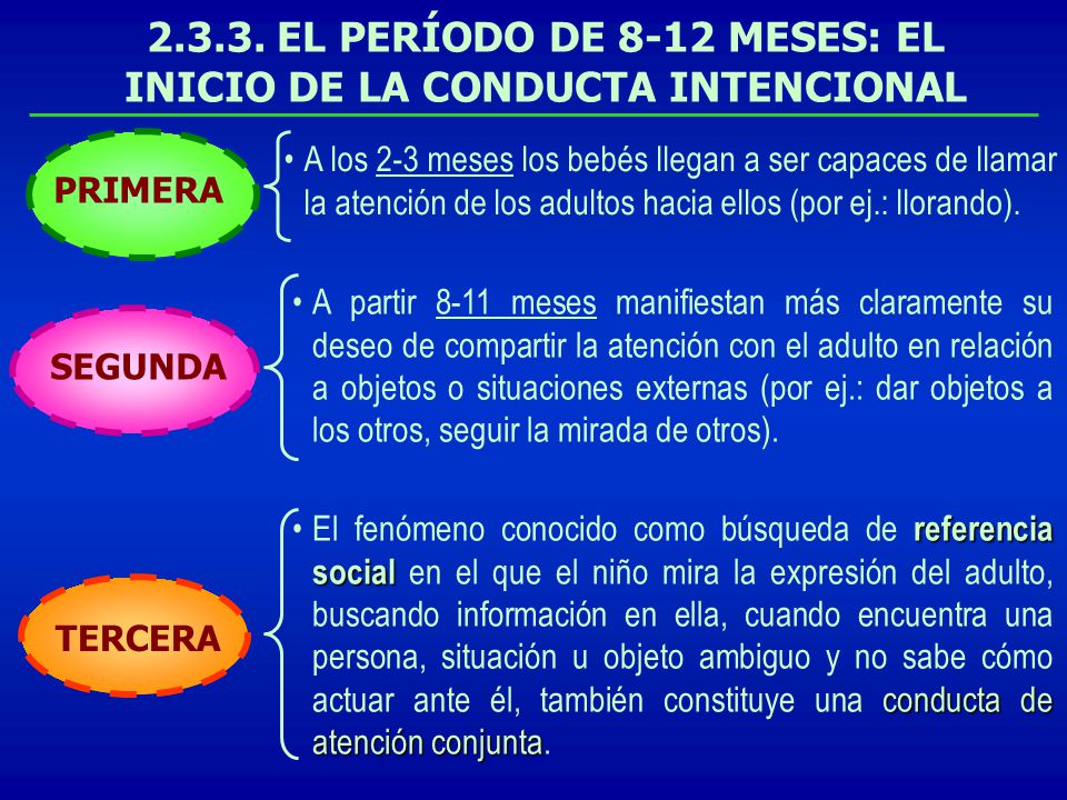 EL PERÍODO DE 8-12 MESES: EL INICIO DE LA CONDUCTA INTENCIONAL