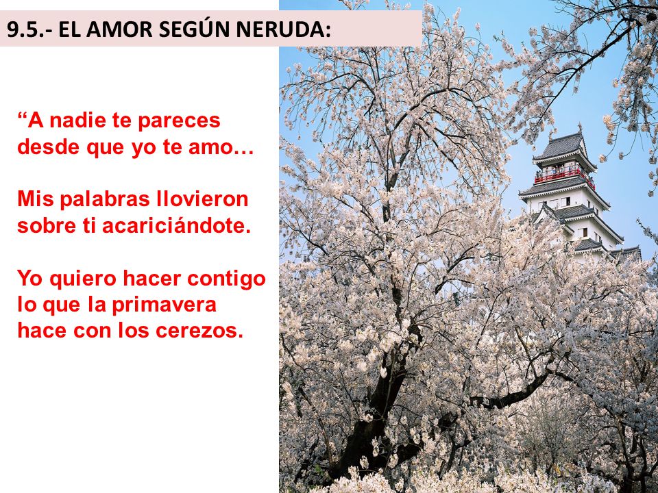 9.5.- EL AMOR SEGÚN NERUDA: A nadie te pareces desde que yo te amo…