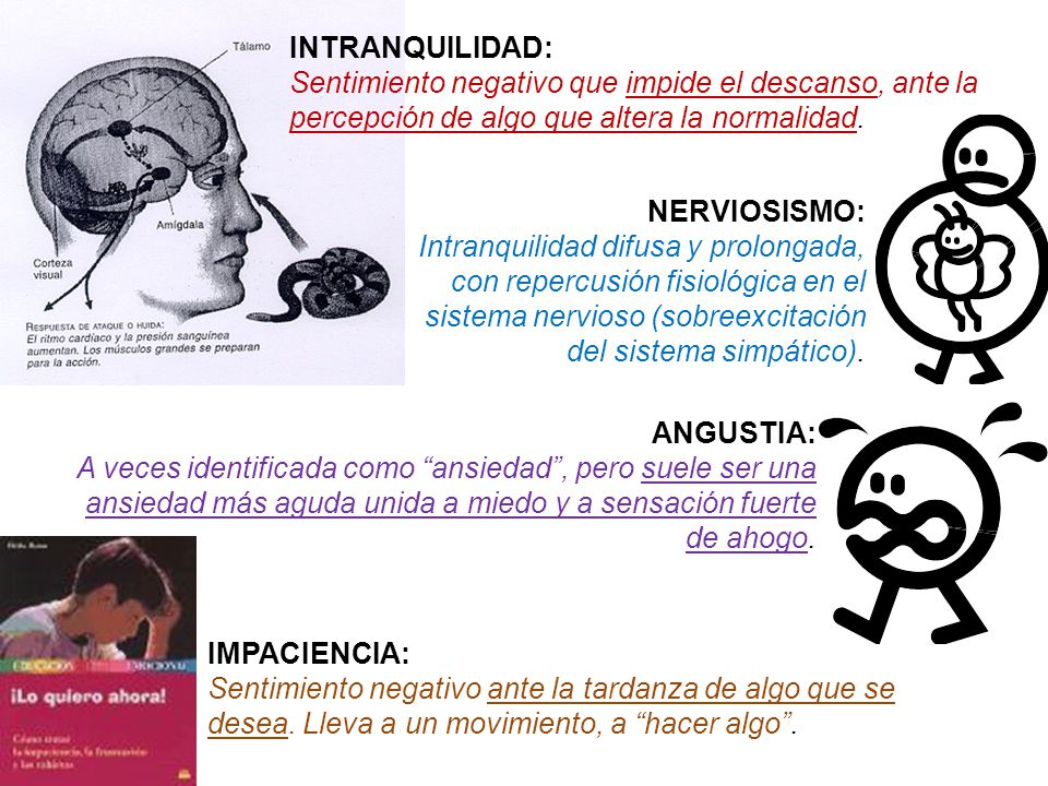 INTRANQUILIDAD: Sentimiento negativo que impide el descanso, ante la percepción de algo que altera la normalidad.