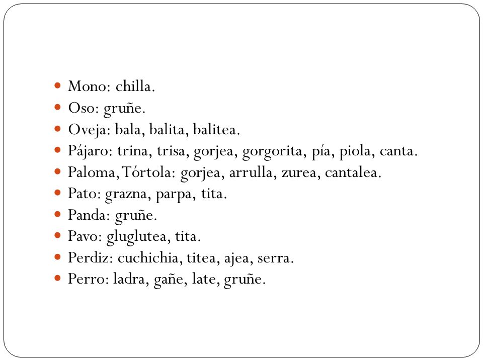Mono: chilla. Oso: gruñe. Oveja: bala, balita, balitea. Pájaro: trina, trisa, gorjea, gorgorita, pía, piola, canta.