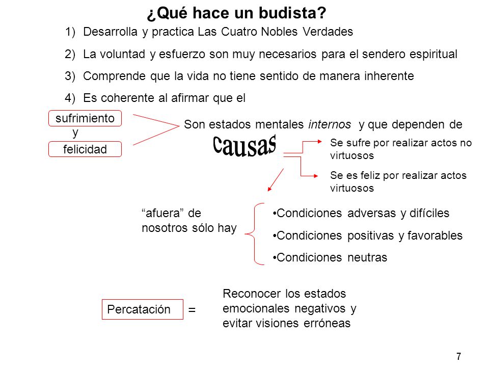 ¿Qué hace un budista Desarrolla y practica Las Cuatro Nobles Verdades. La voluntad y esfuerzo son muy necesarios para el sendero espiritual.