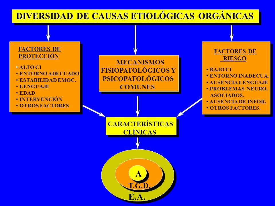 DIVERSIDAD DE CAUSAS ETIOLÓGICAS ORGÁNICAS