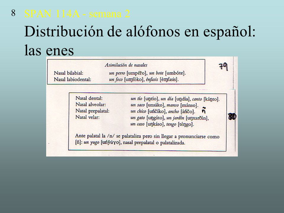 SPAN 114A - semana 2 Distribución de alófonos en español: las enes