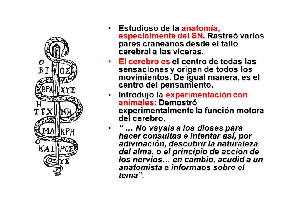 Estudioso de la anatomía, especialmente del SN
