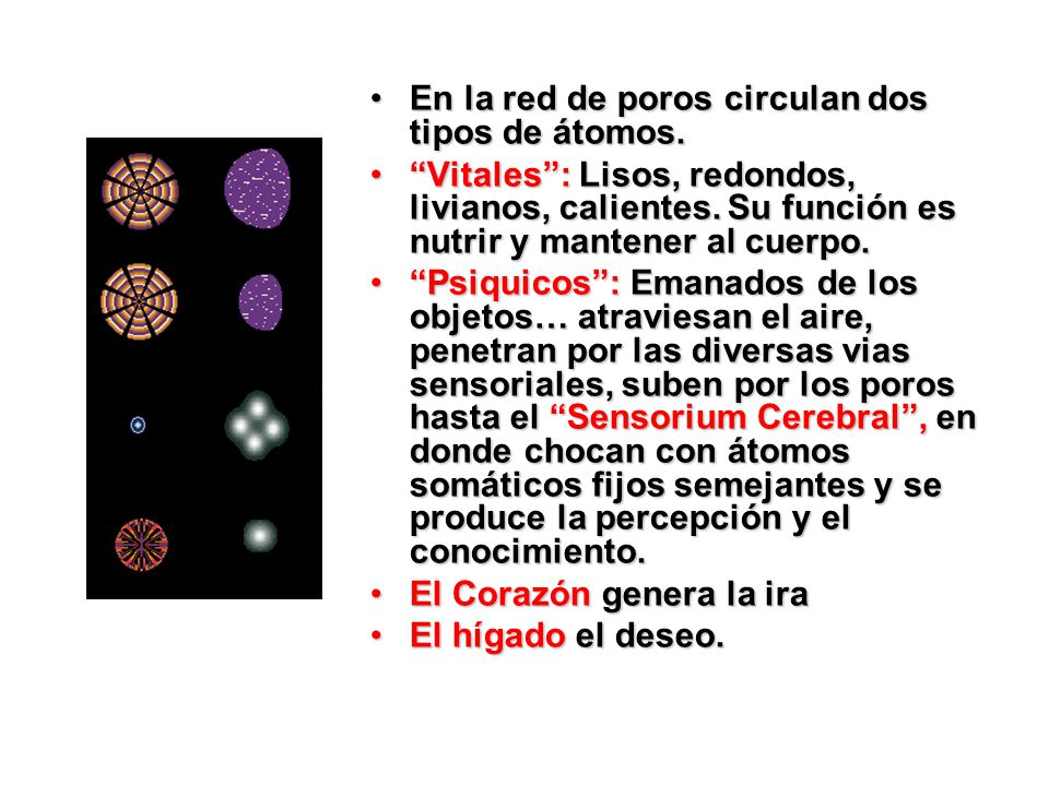 En la red de poros circulan dos tipos de átomos.
