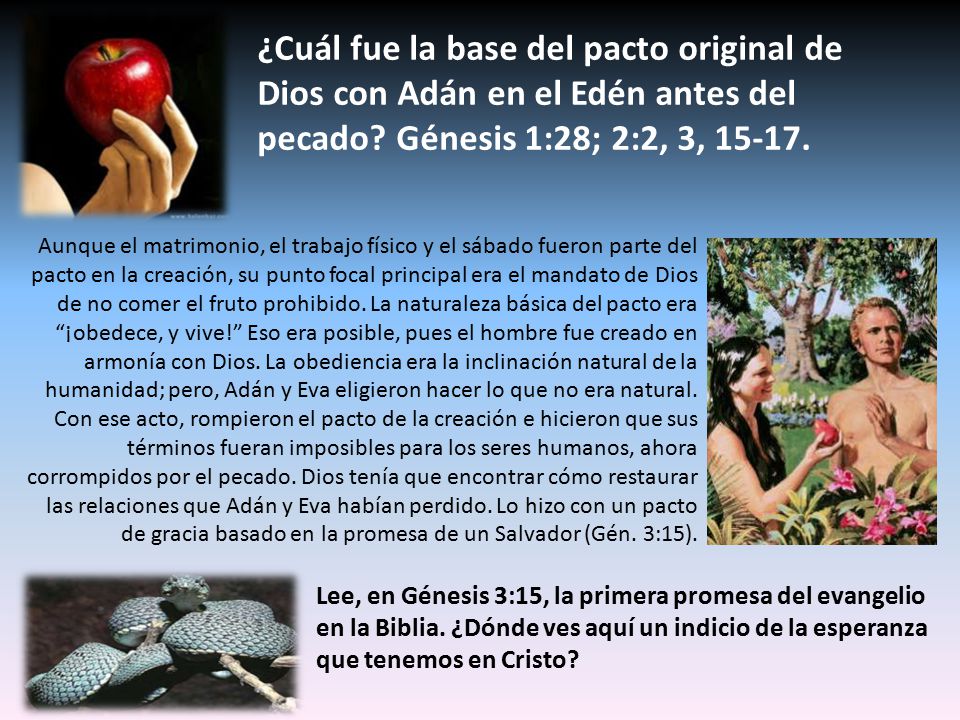 ¿Cuál fue la base del pacto original de Dios con Adán en el Edén antes del pecado Génesis 1:28; 2:2, 3,