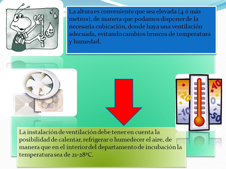 La altura es conveniente que sea elevada (4 ó más metros), de manera que podamos disponer de la necesaria cubicación, donde haya una ventilación adecuada, evitando cambios bruscos de temperatura y humedad.
