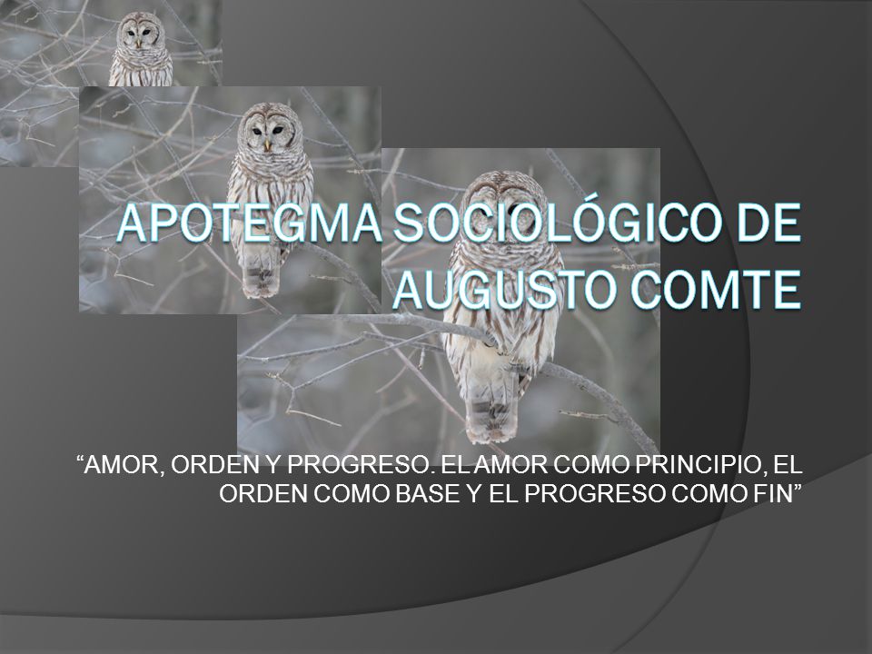 Apotegma sociológico de Augusto Comte